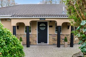 Photo 39- click for photo gallery